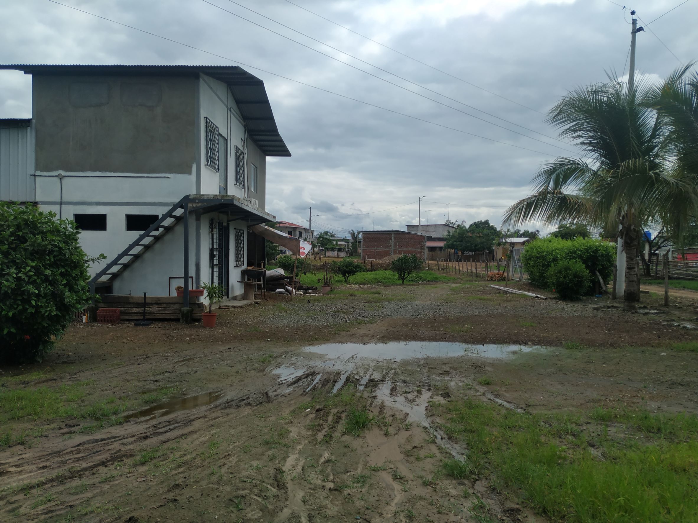 IMG_20210123_143432-COMP