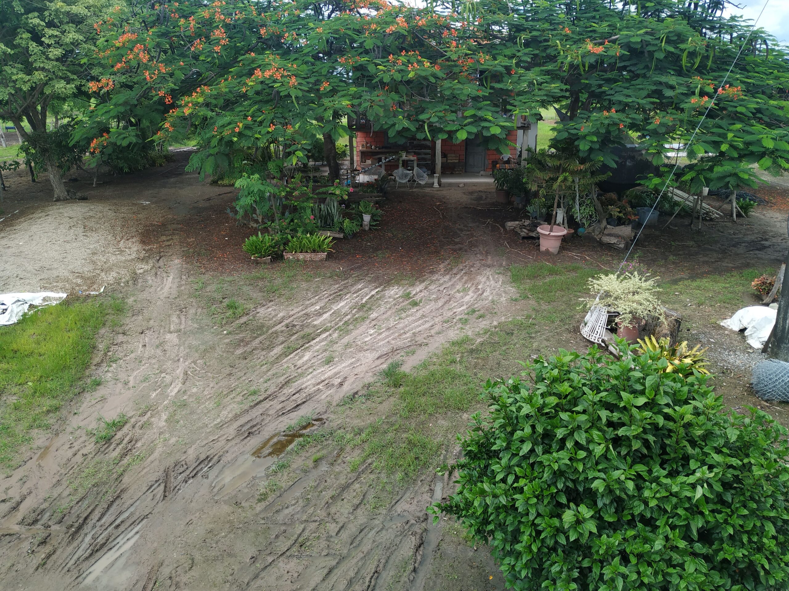 IMG_20210123_144541-COMP