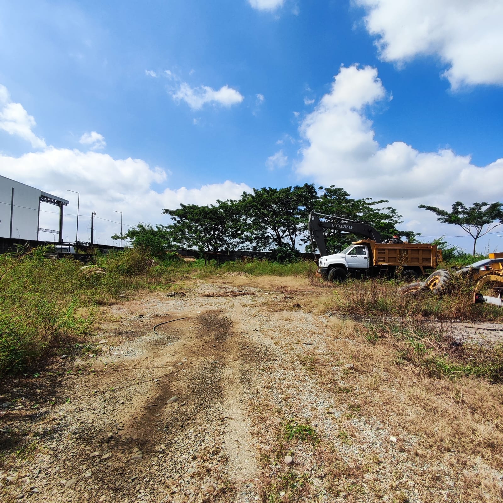 WhatsApp-Image-2023-07-26-at-11.04.52-AM-2