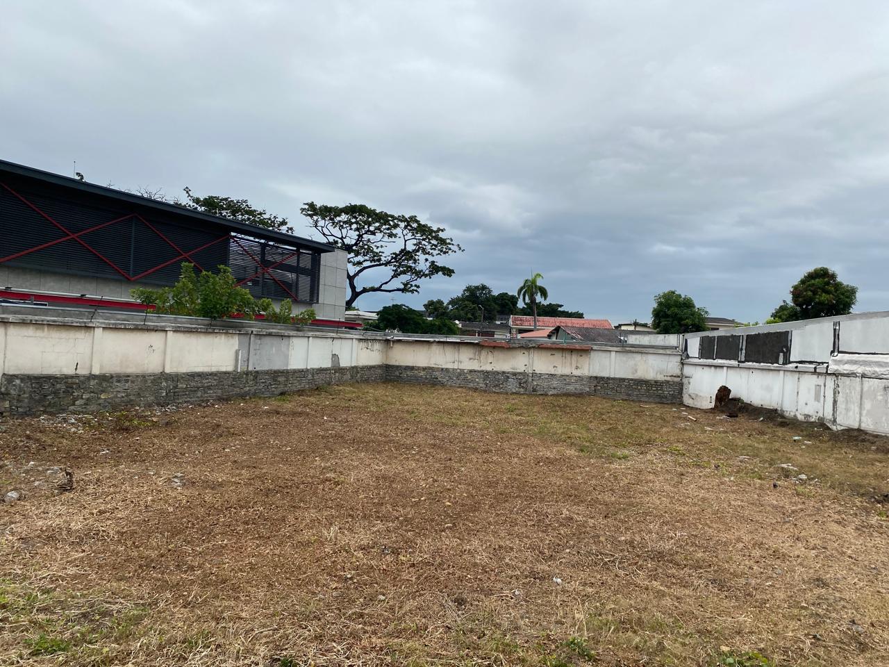 WhatsApp-Image-2025-07-22-at-9.49.27-AM-5