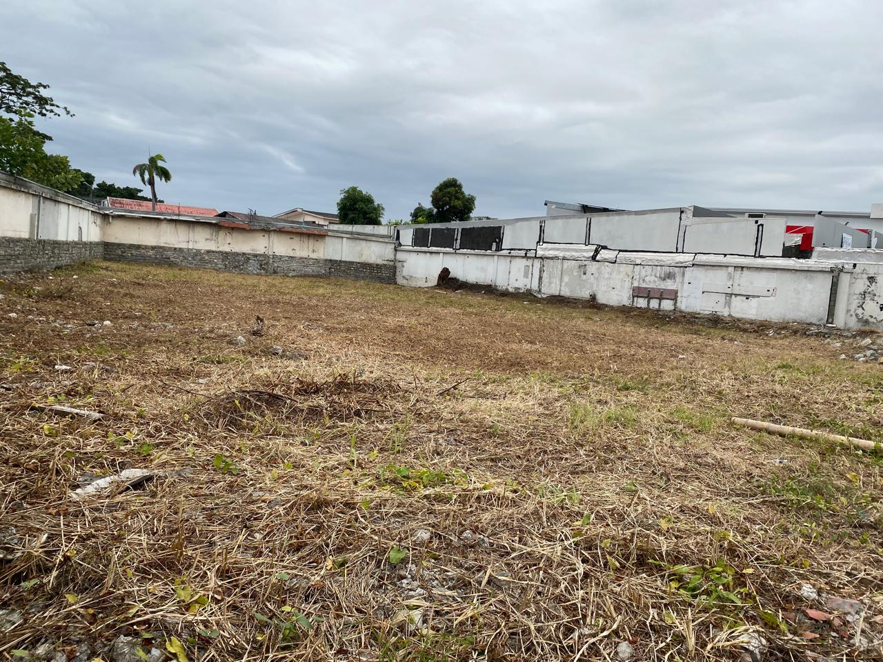 WhatsApp-Image-2025-07-22-at-9.49.27-AM