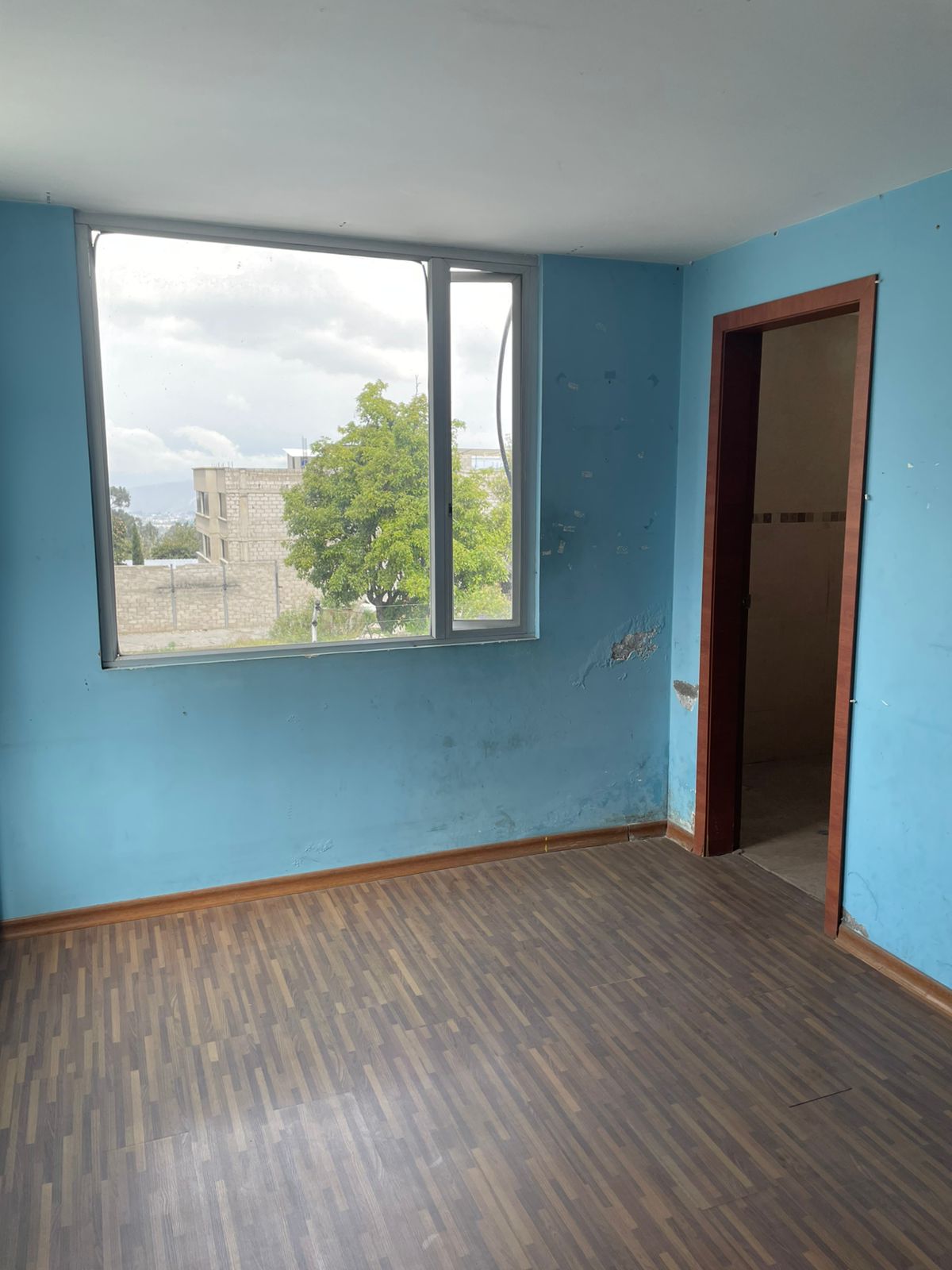 WhatsApp-Image-2024-11-19-at-5.20.16-PM